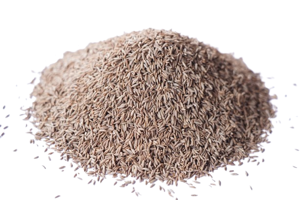 Cumin Seed (Jeera)
