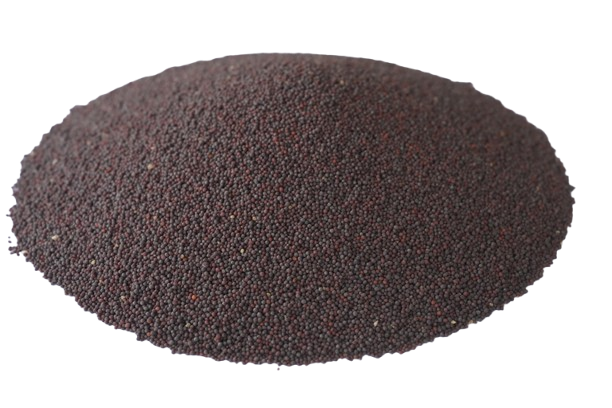 Black Mustard Seed (Rai)